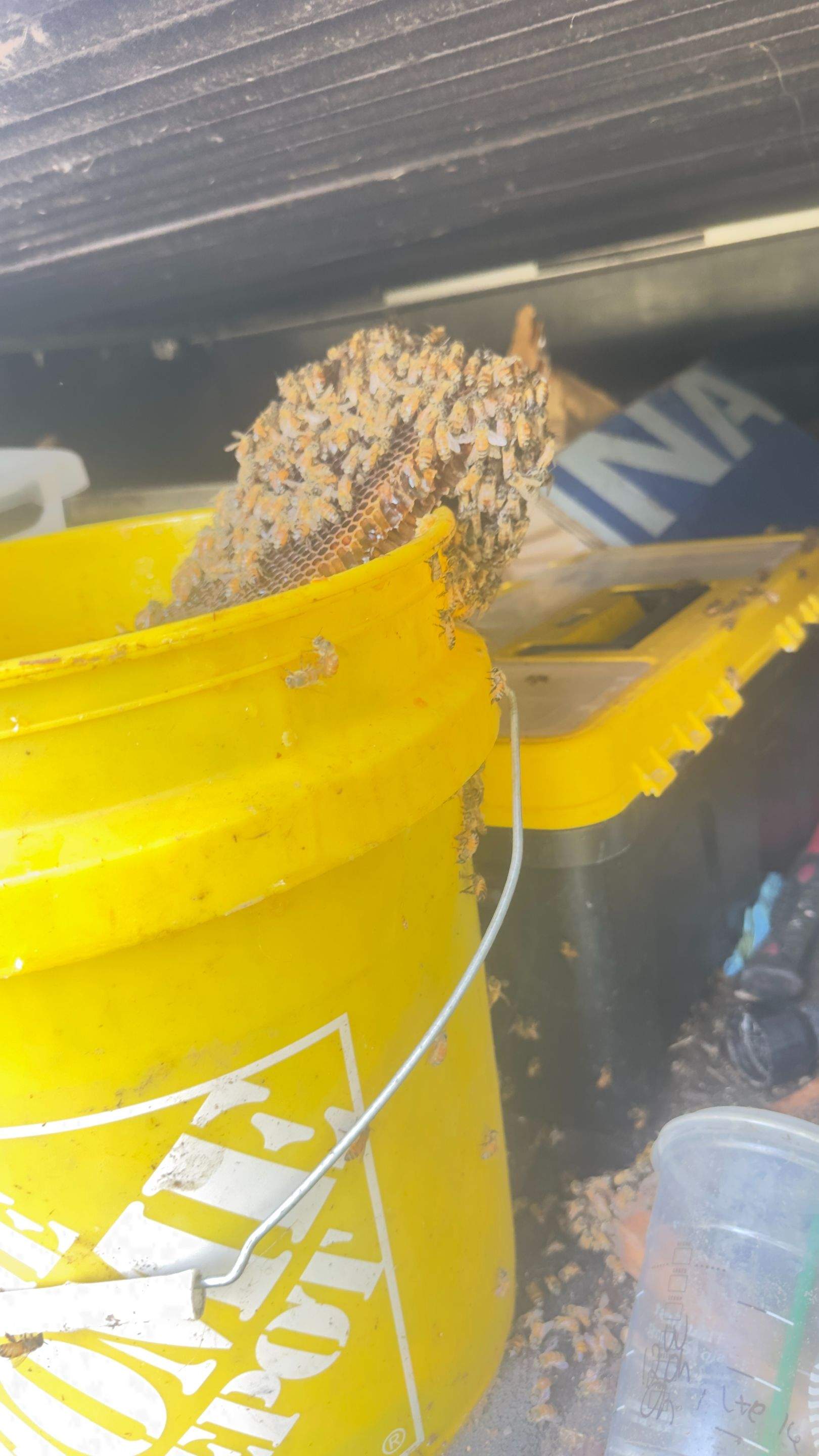 Old Faithful by Rockwall Honey Bee Company