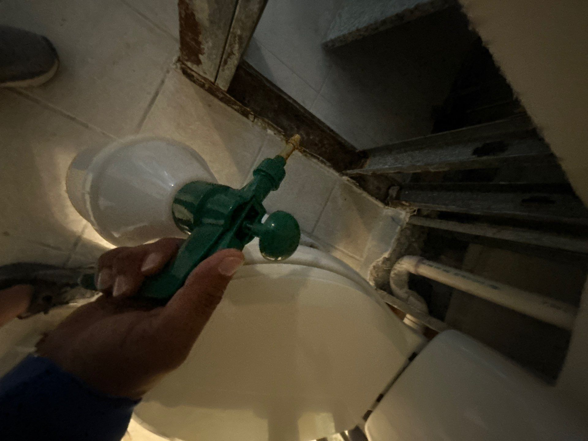 Mold Restoration In Bradenton by Ampm Restoration Services