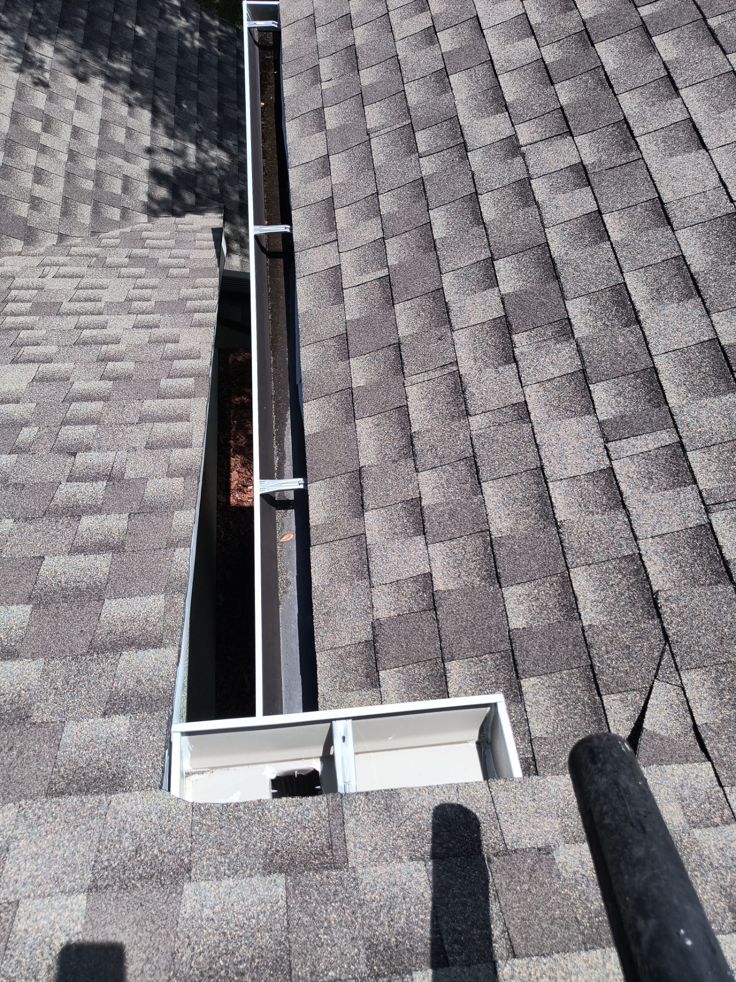 Professional Gutter Cleaning in Lutz FL by Gutter Professors