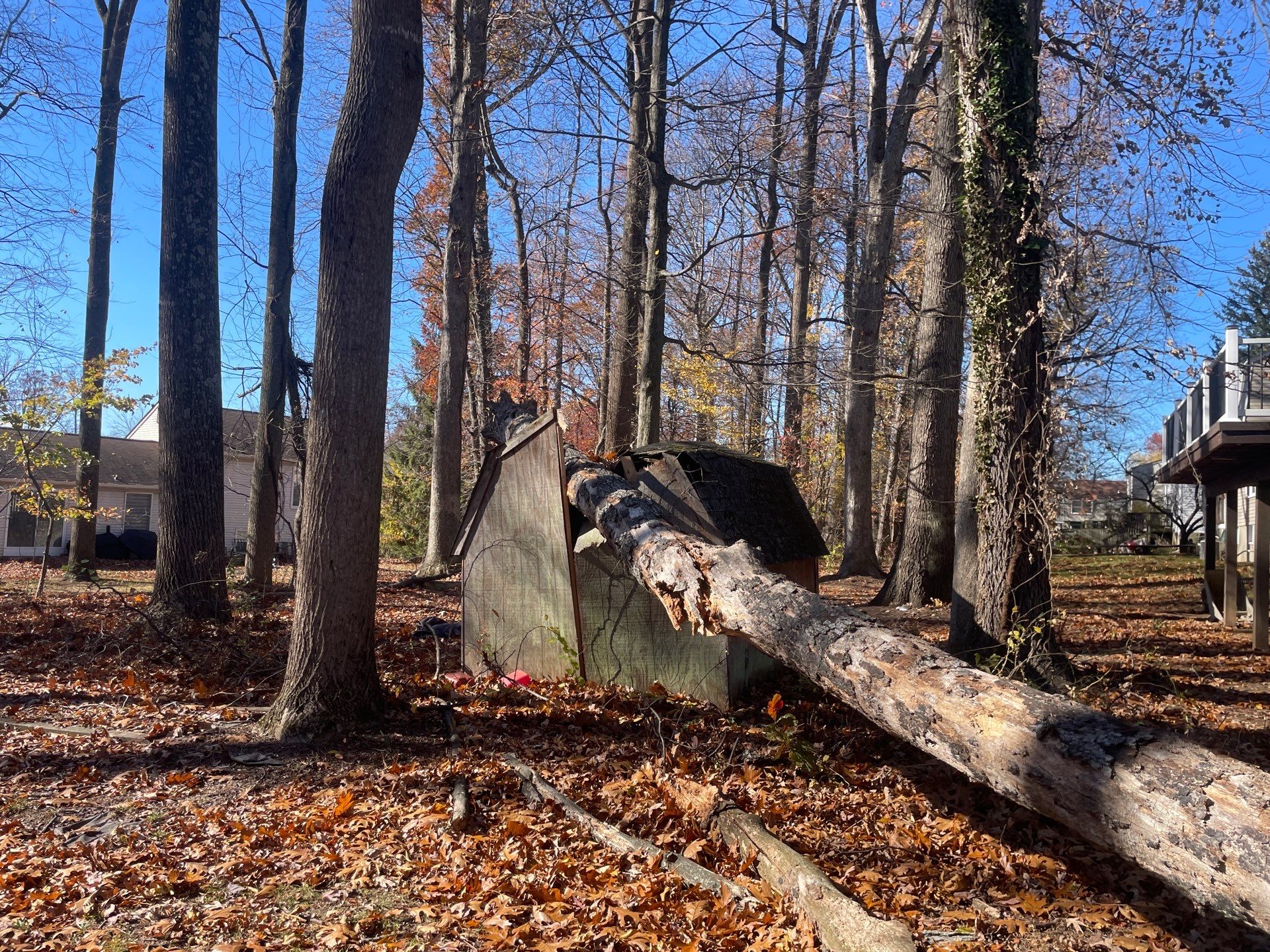 Project in Randallstown, MD by Restoration services