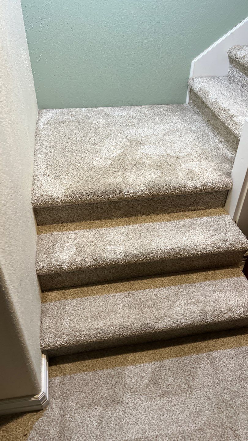 Mold Remediation by Accountable Home Services