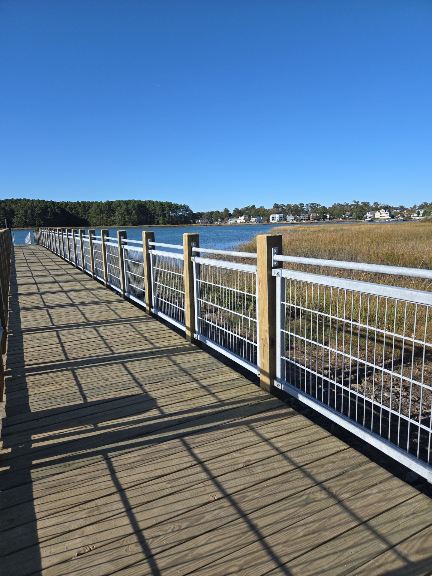 Project in Virginia Beach by Gregory Sandstrom