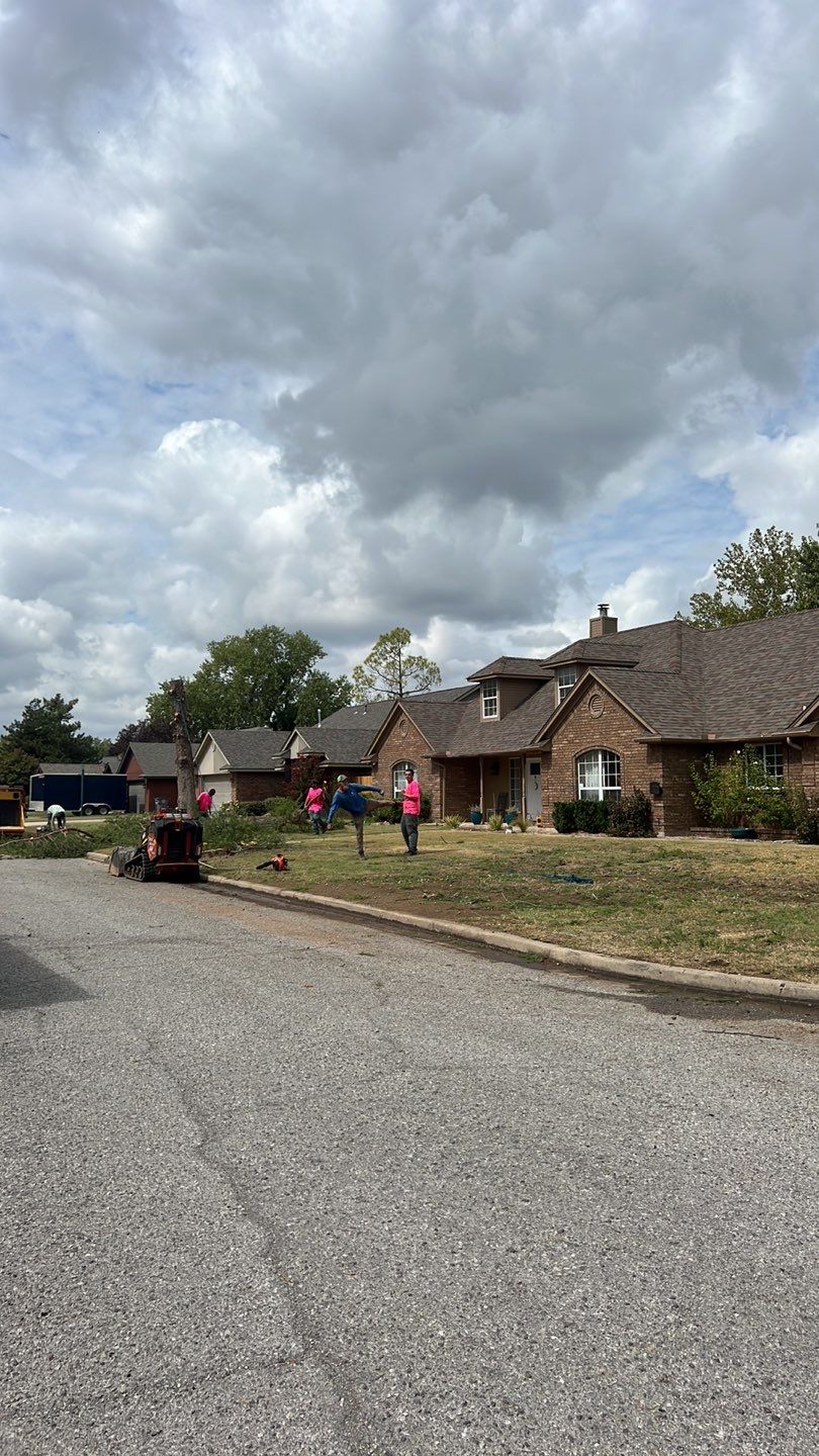 Tree removal , Concrete, Pergola, and sod install  by Clays Services Inc