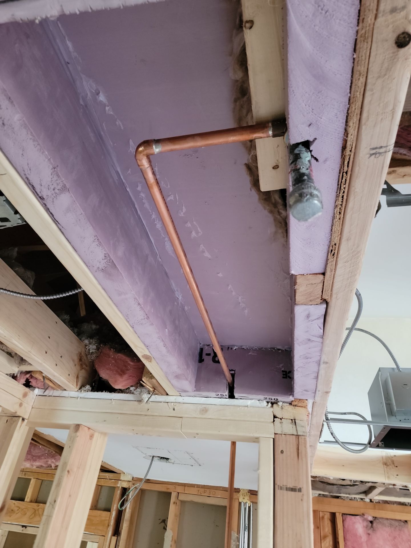 Project in Highland Park by Meyer Enterprises 