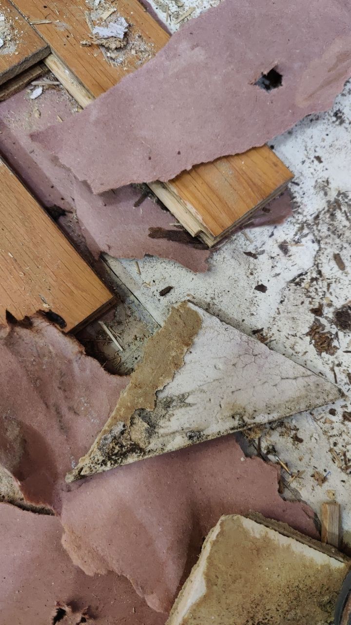 Mold Damage by Accountable Home Services