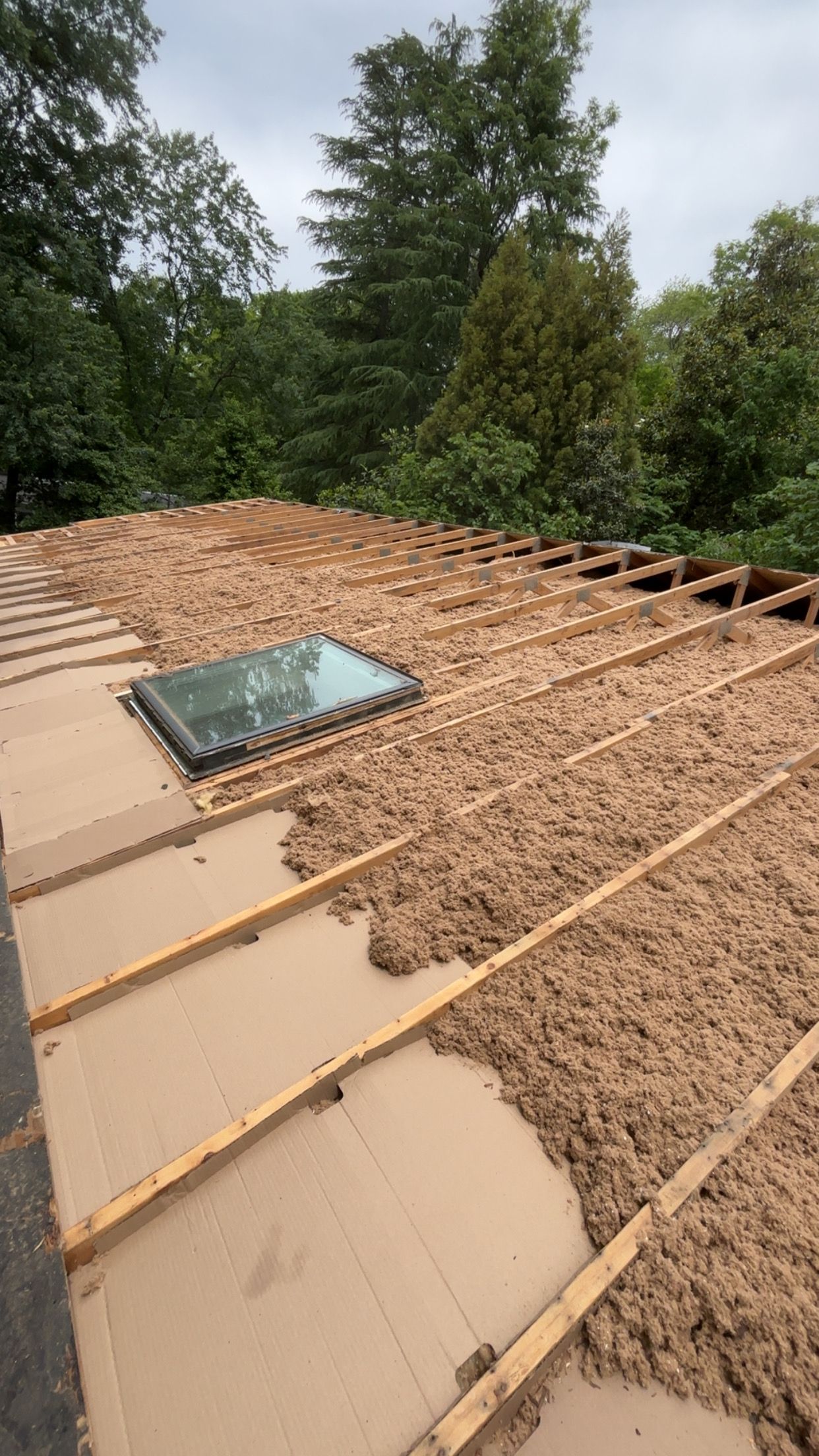 Project in Alexandria, VA by Founders Insulation