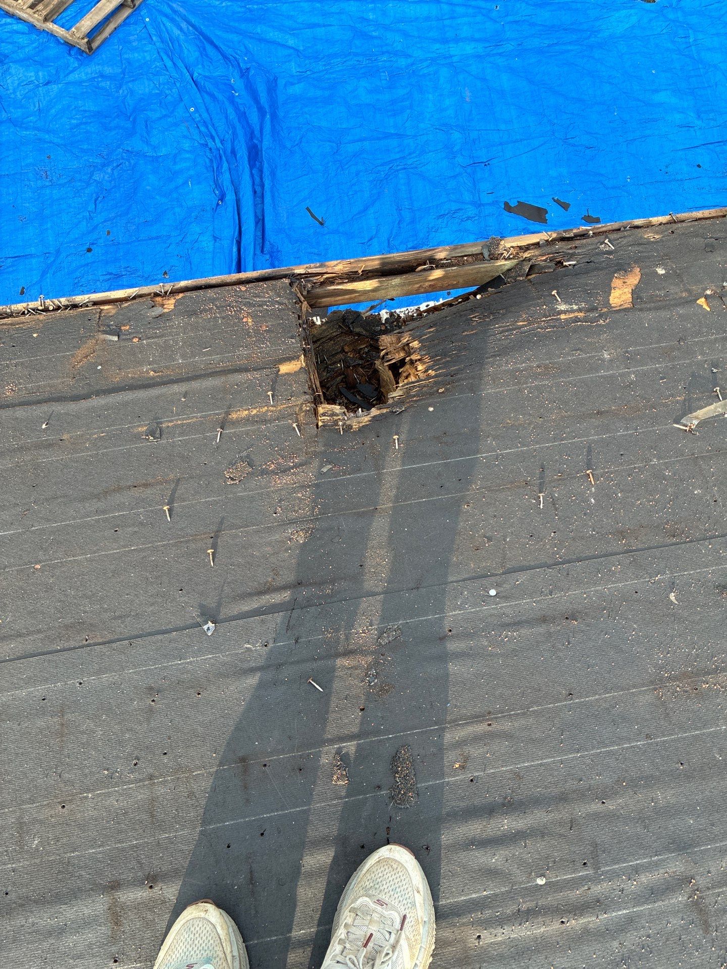 Roof replacement by In & Out Construction & Remodeling, LLC