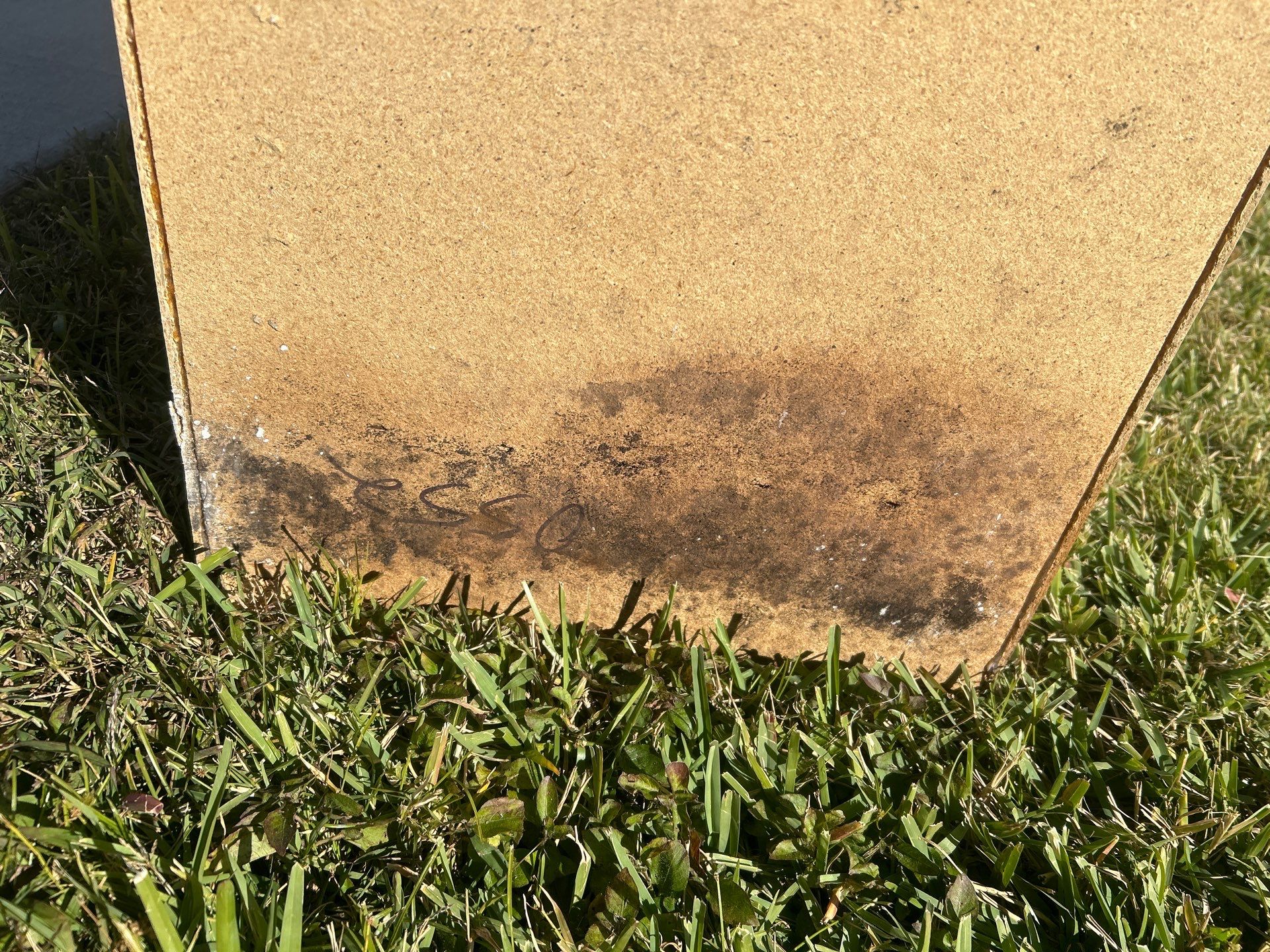Palmetto Mold Removal & Repair by Ampm Restoration Services