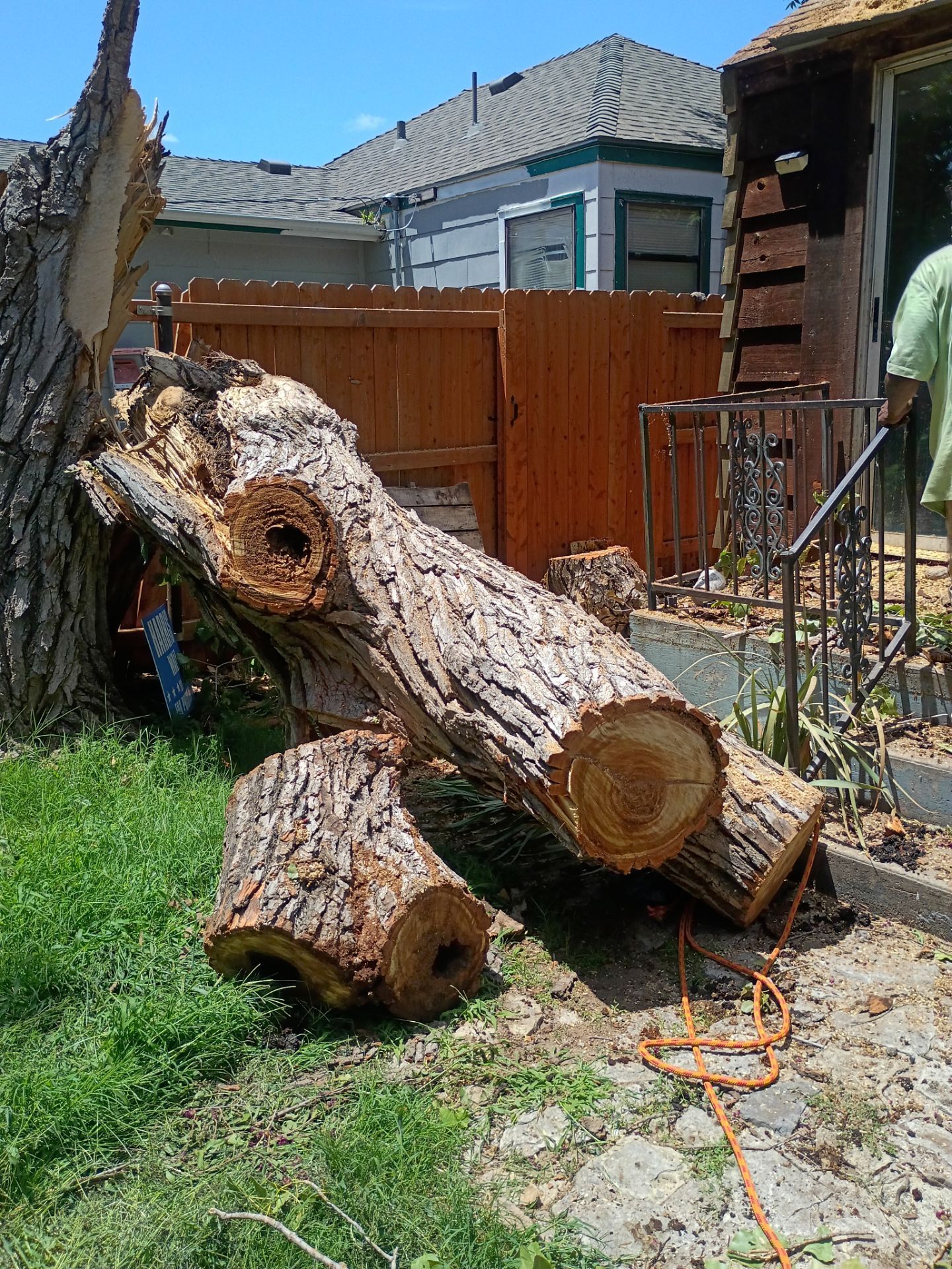 Dangerous Tree Tree Removal  by Clays Services Inc
