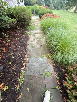 Window Cleaning in Branchburg, NJ — Gallo Bros job photo