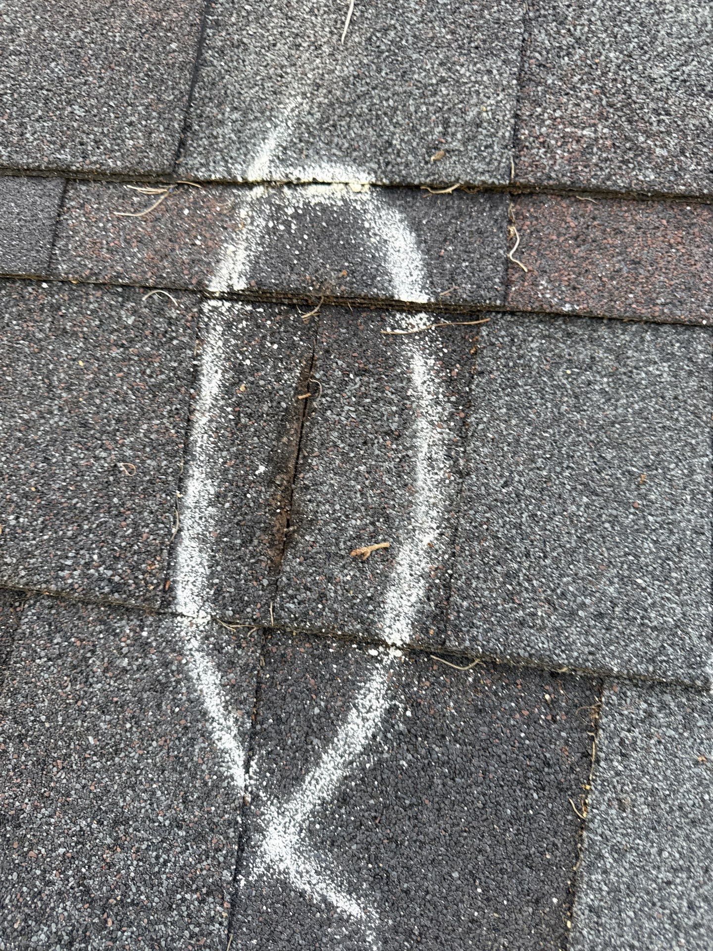 Project in Lakeland by You Restorations LLC DBA YOU-Home