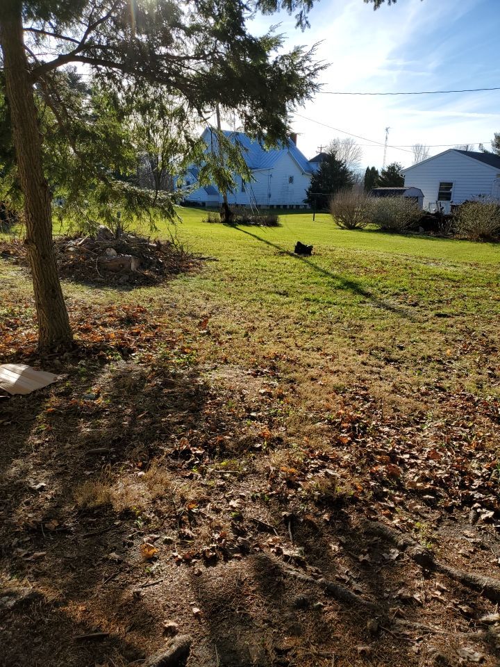 Storm Damaged Tree Removal  using Tree Removal by Mike Jones & Sons Tree Service LLC 