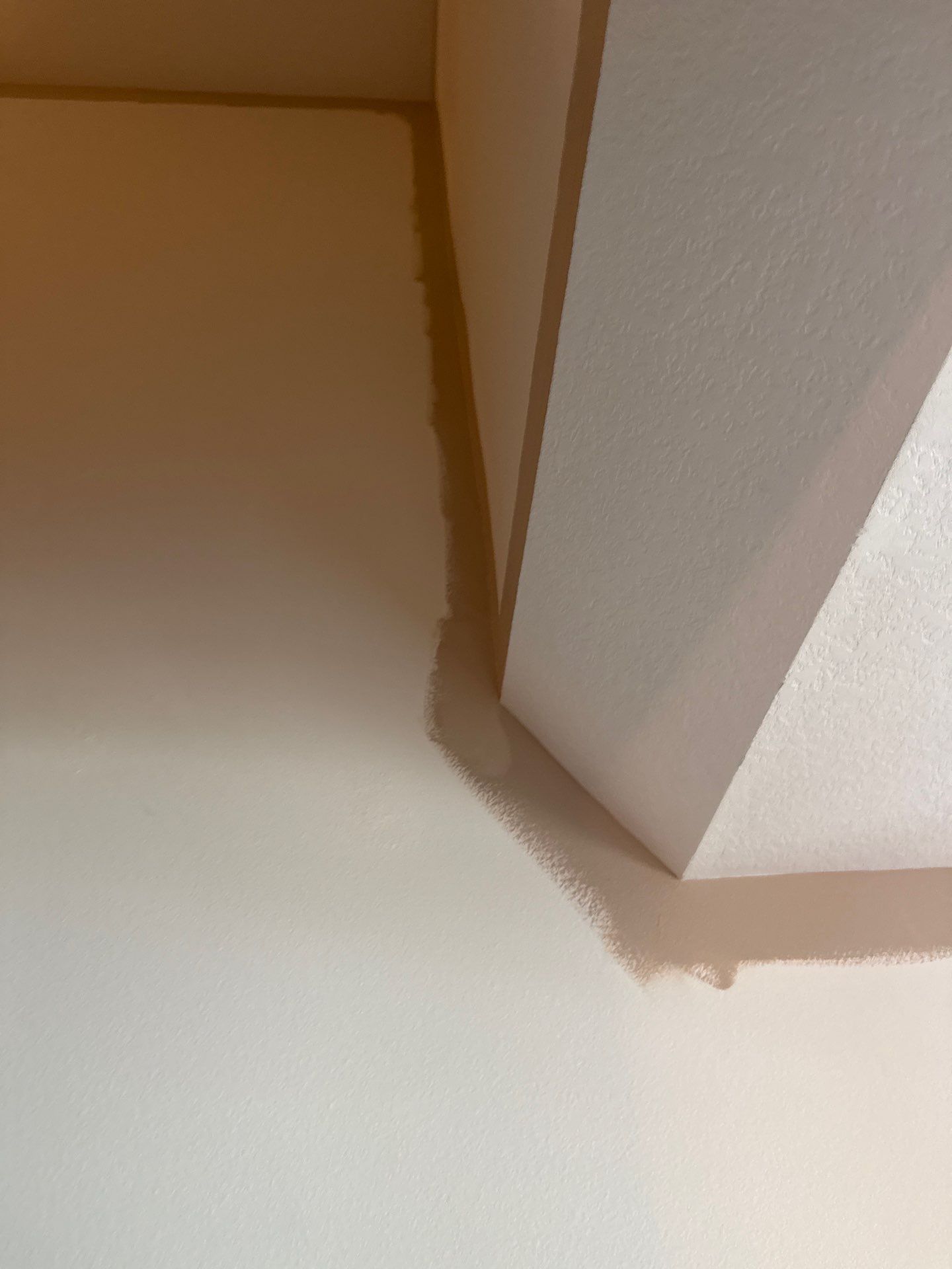 Residential Interior Refresh by Midwest Paint LLC
