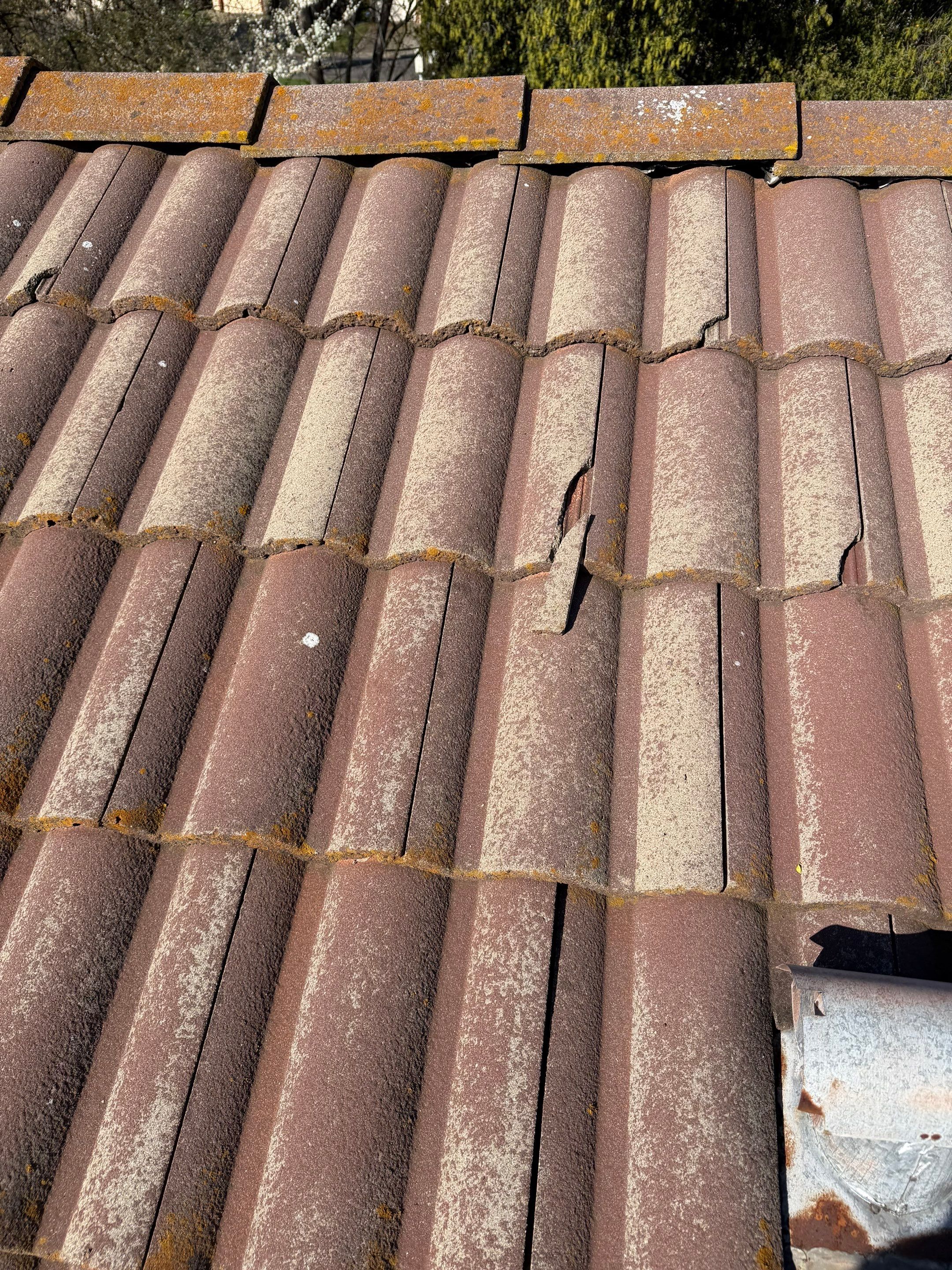 Project in Citrus Heights  by NuLead Construction Inc