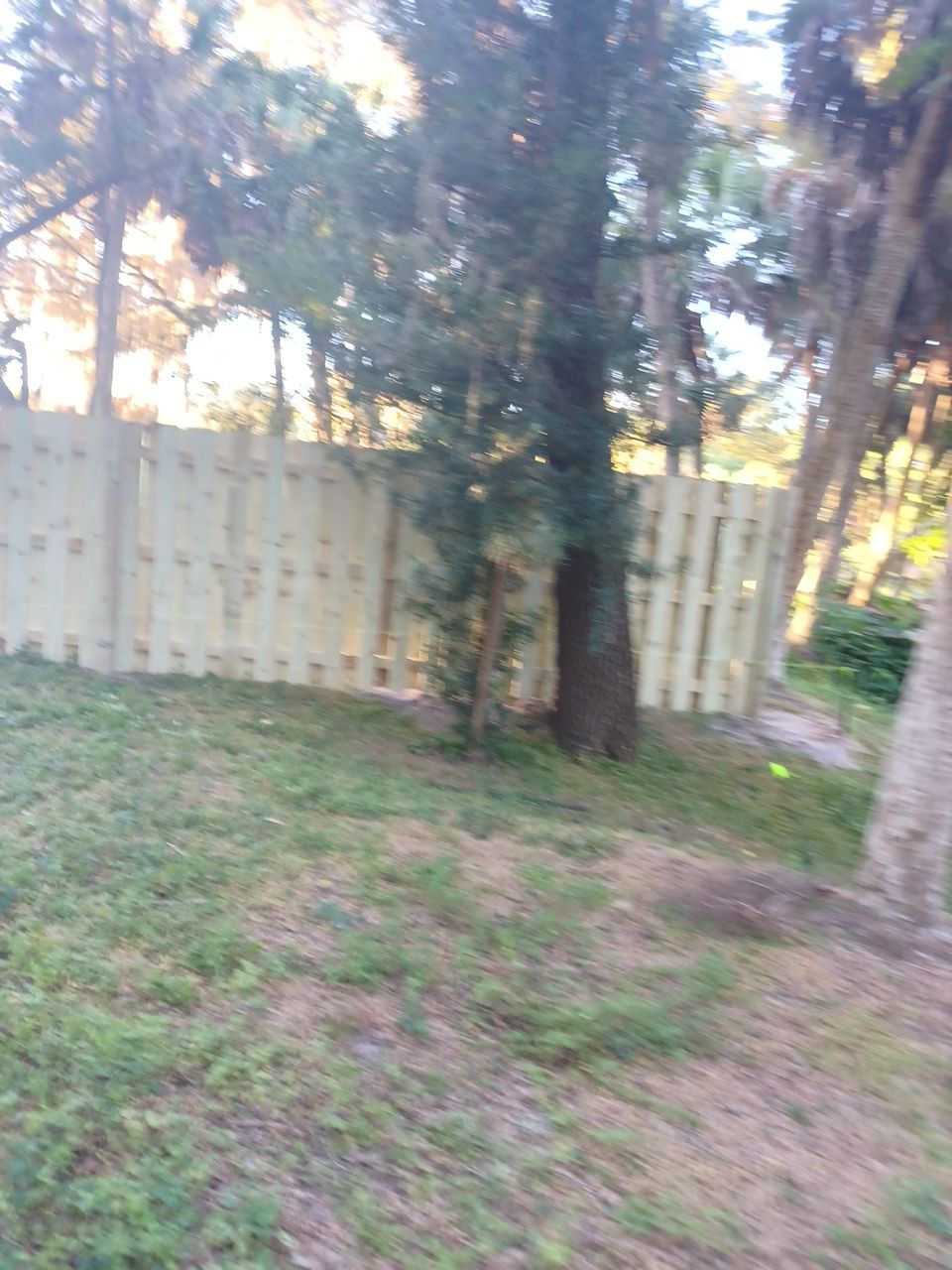 Sarasota, FL 4ft. Tall 3-Rail Aluminum Fence by Asap fence and gates, LLC