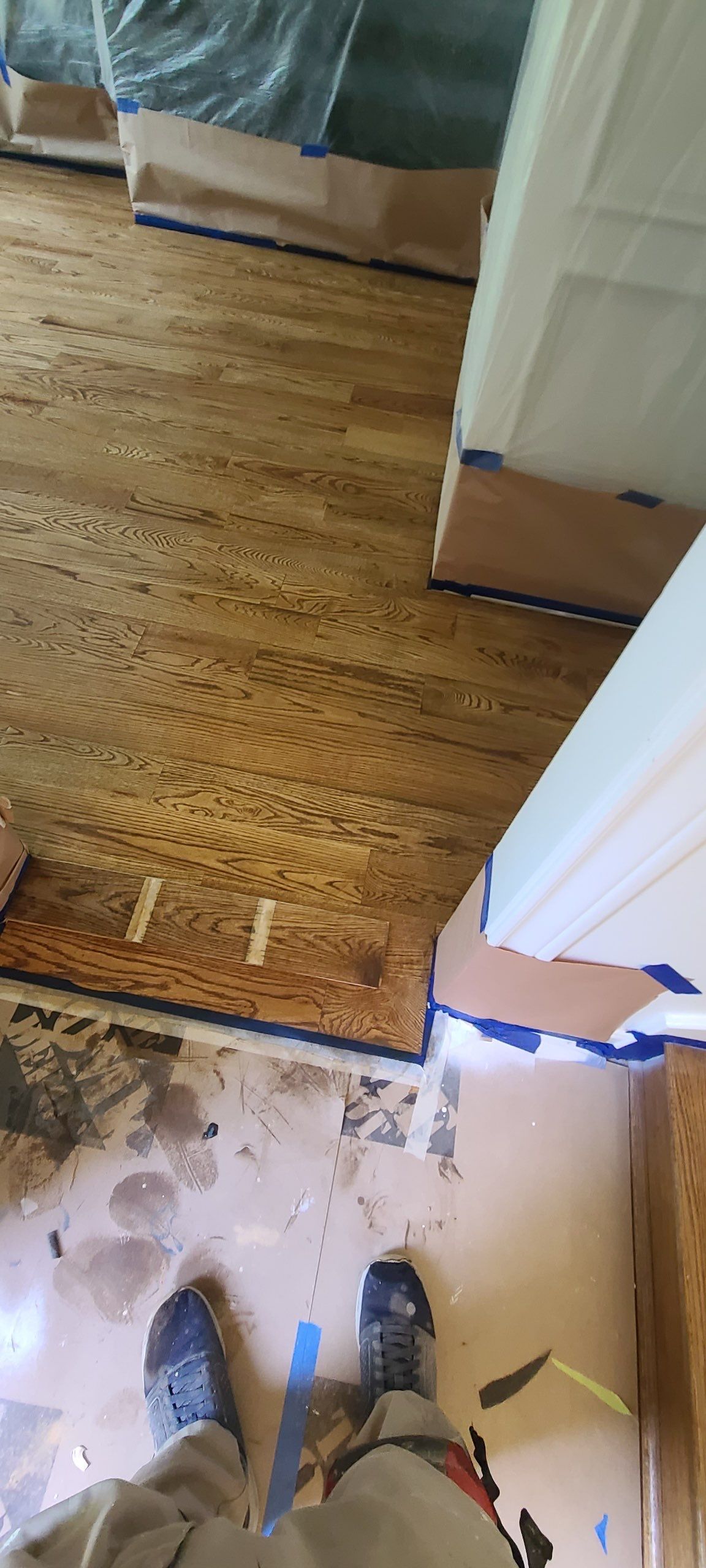 The Napolitano Family by SophAlx LLC