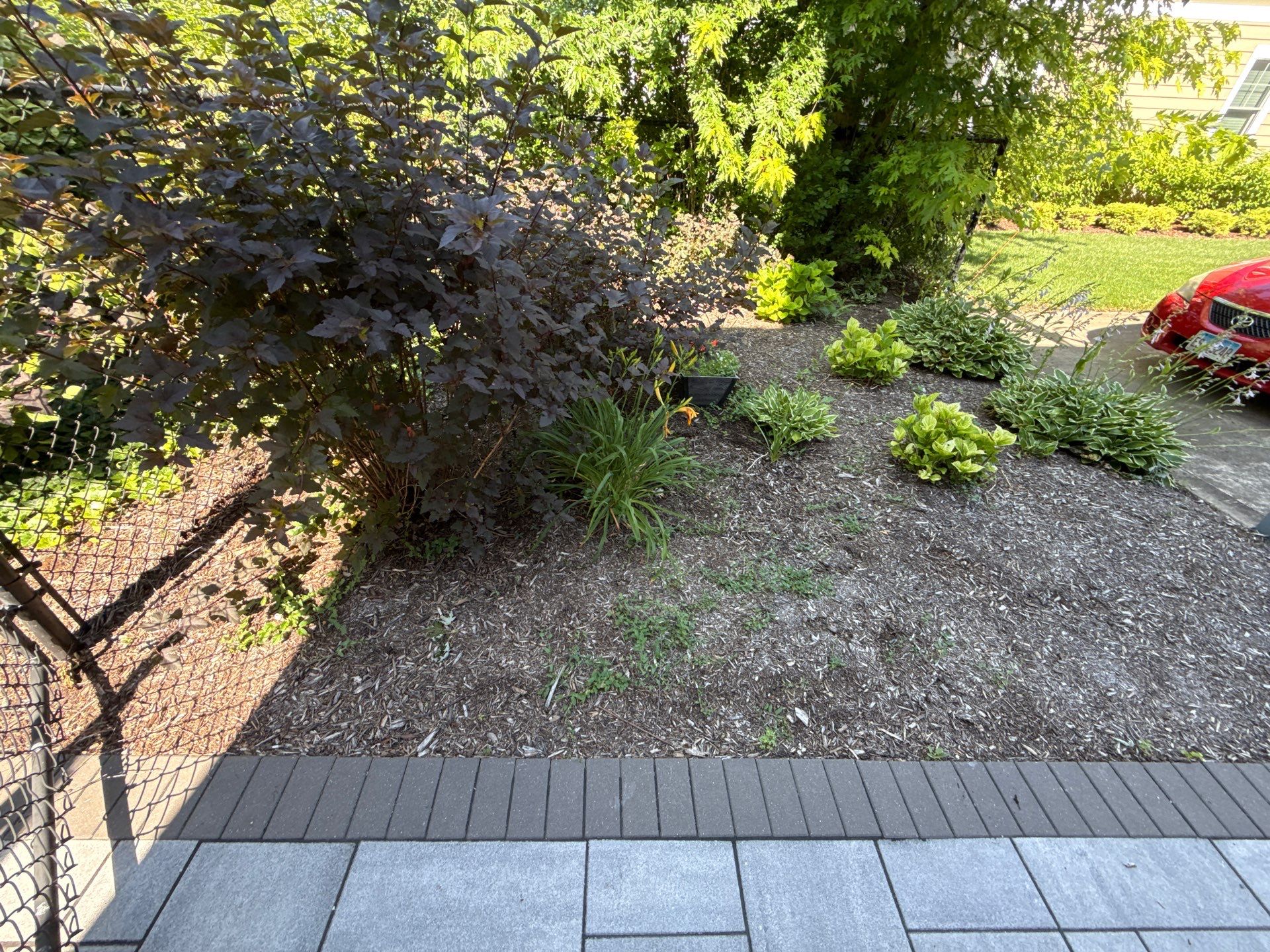 Rob M. - Arlington Heights, IL by A&N 