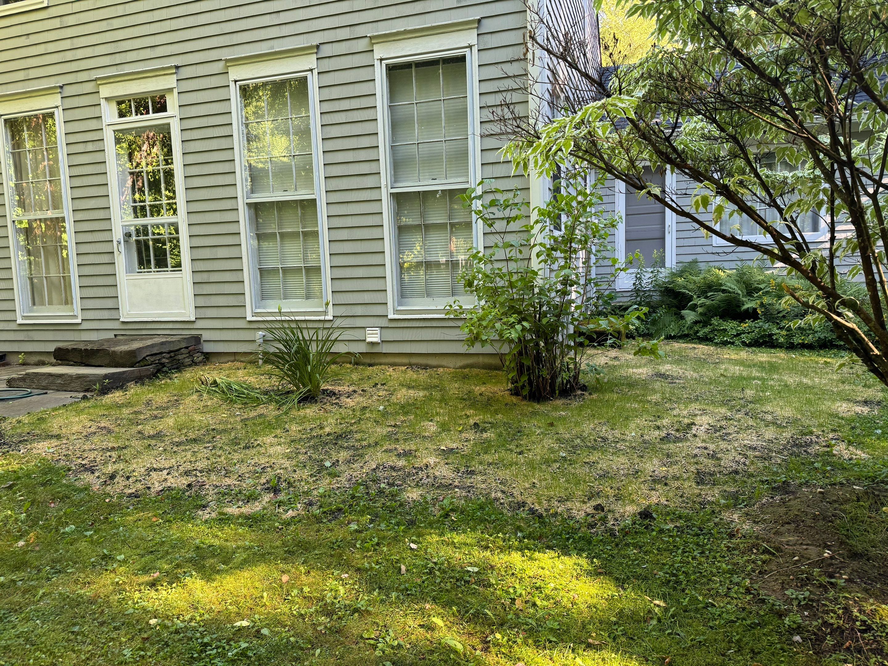 Basement Mold Remediation by Home Guarantee, LLC