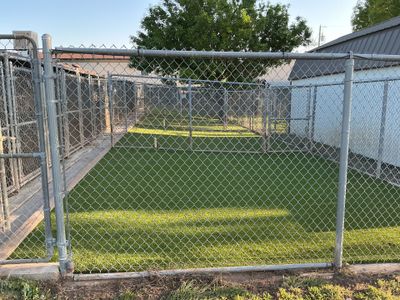 Synthetic Turf Installation using Pet Turf