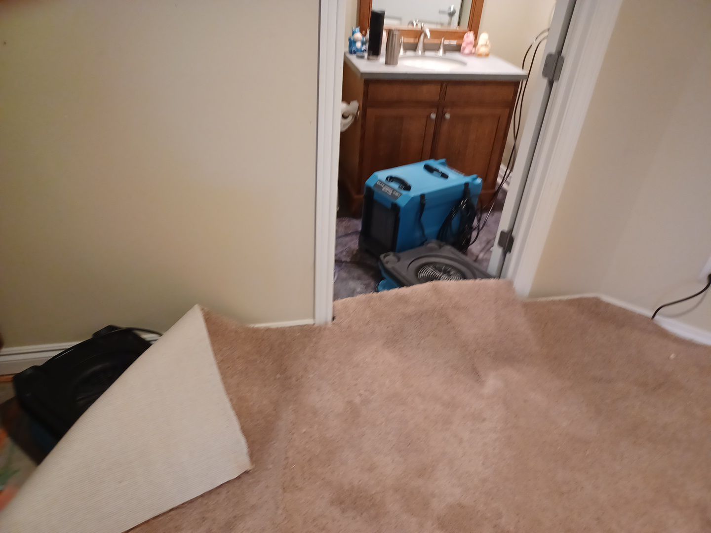 Project in West Bloomfield Township by EzDry Water Mitigation & Property Restoration