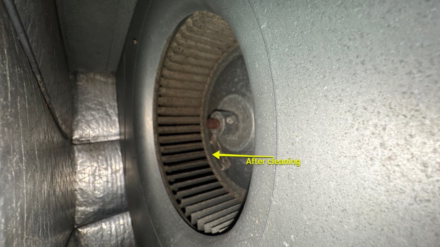 Extremely Dirty Air Duct Cleaning in Fruitland Park by Hygienic Air, Inc