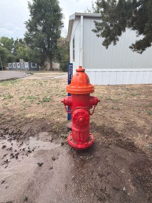 Project in Greeley