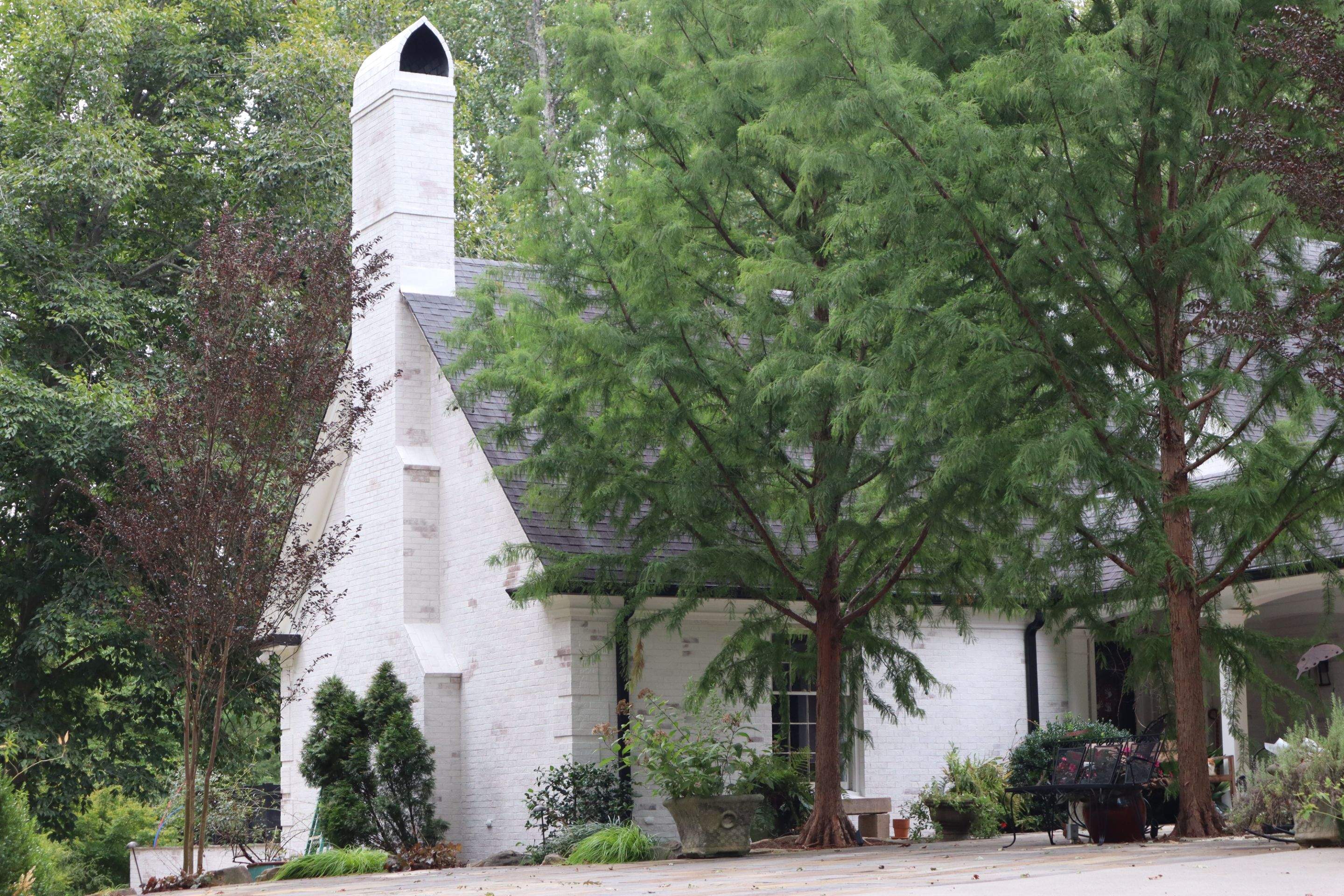 Spartanburg Limewash by Renew Painting