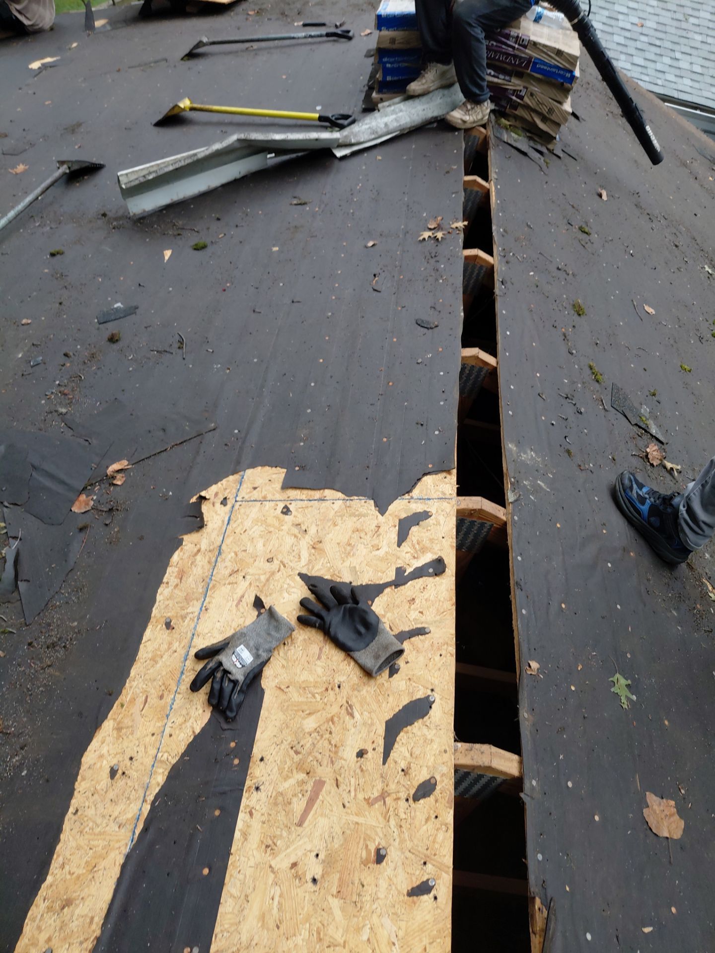 Springfield : with CertainTeed Landmark Pro in Max Def Cobblestone Gray  by RM Banning, Inc.