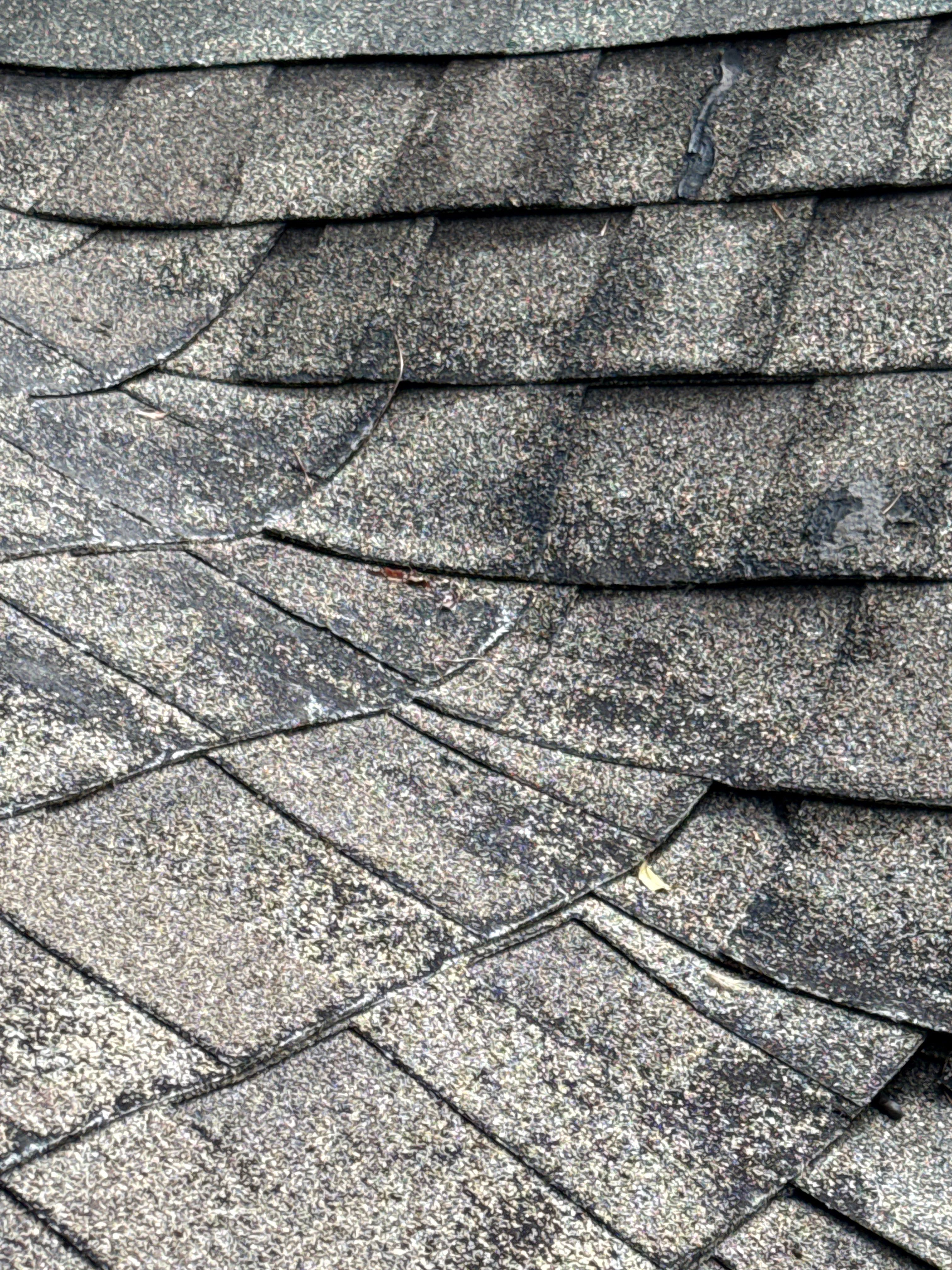 Mills River Residential Exterior Rejuvenation and Roof Cleaning Project by Bright Home Connections