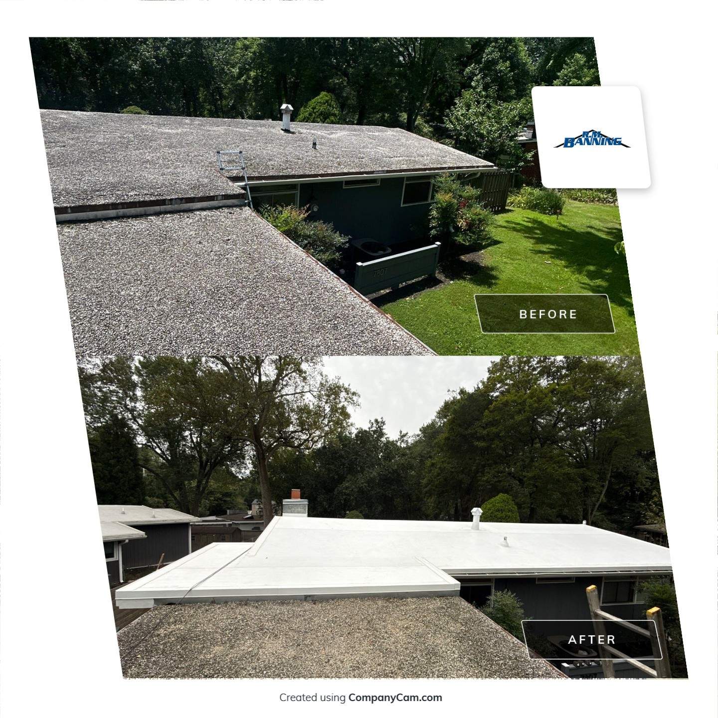 Falls Church :  TPO by RM Banning, Inc.