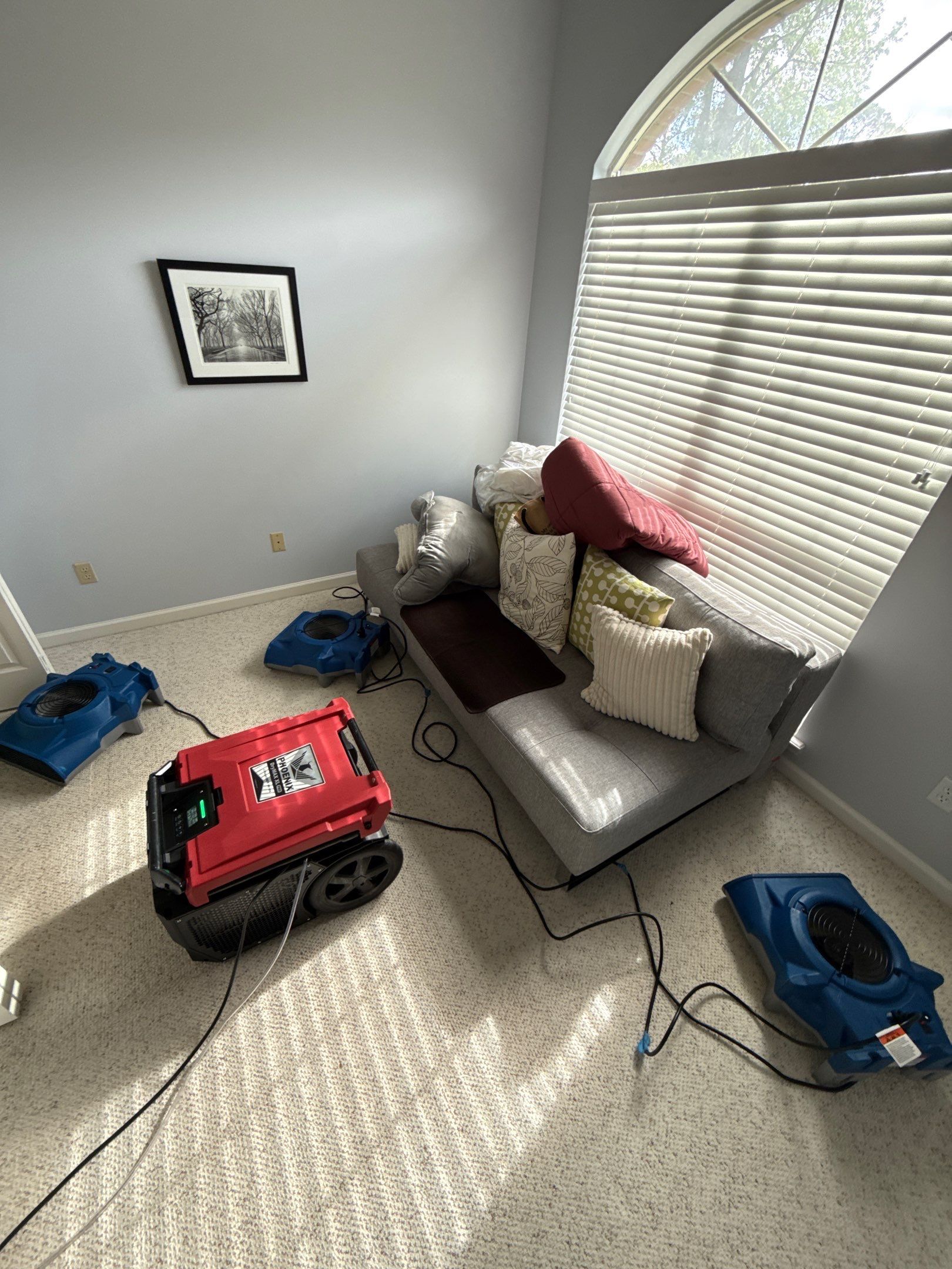 American Quality Restoration featured photo.
