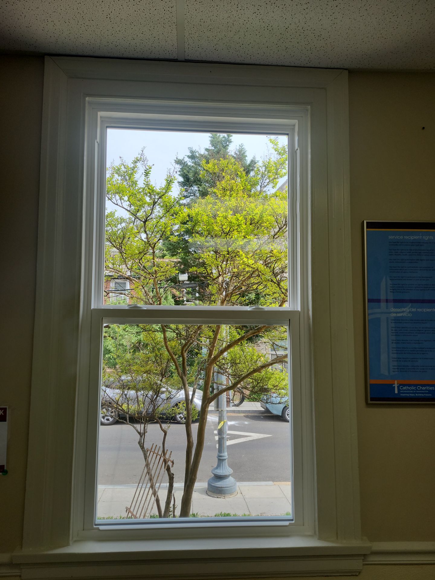 Window replacement using Provia EcoLite by Window Depot of Annapolis