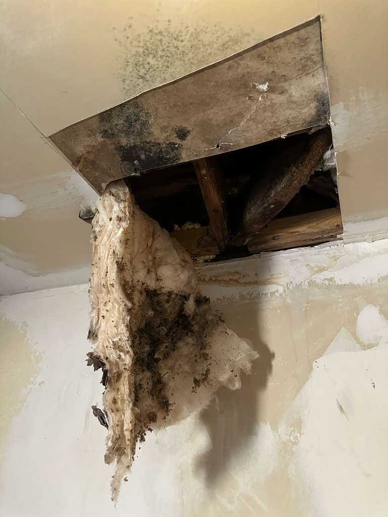 Roof Leak Repair + Fascia/Drip Edge & Gutter Reset - Belleville, IL by Legendary Services Company LLC.