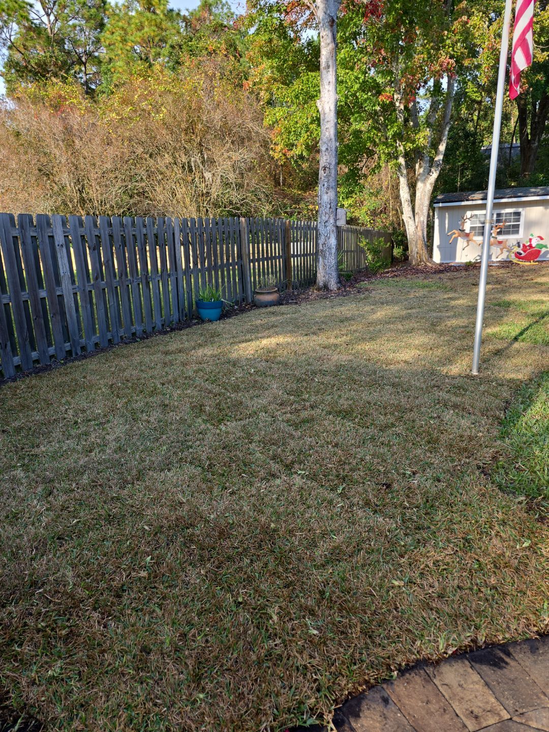 Deerwood Resident | Winter Sod Replacement by ProGreen Services