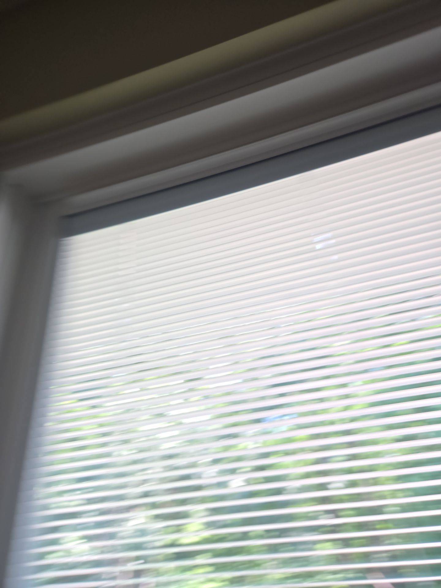 Whole house window replacement by Window Depot of Annapolis