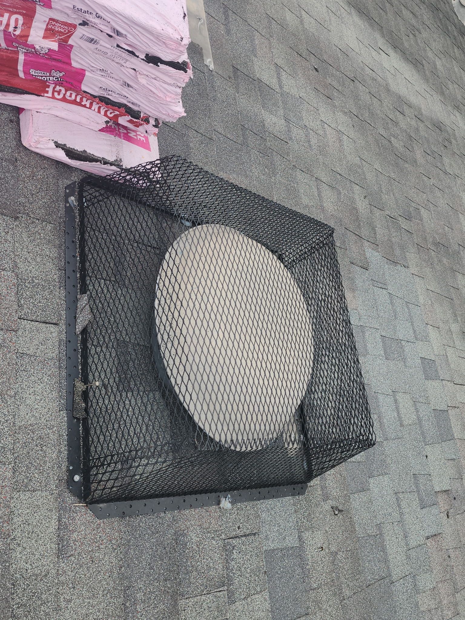 Tall, tall, tall by REPS OF TEXAS