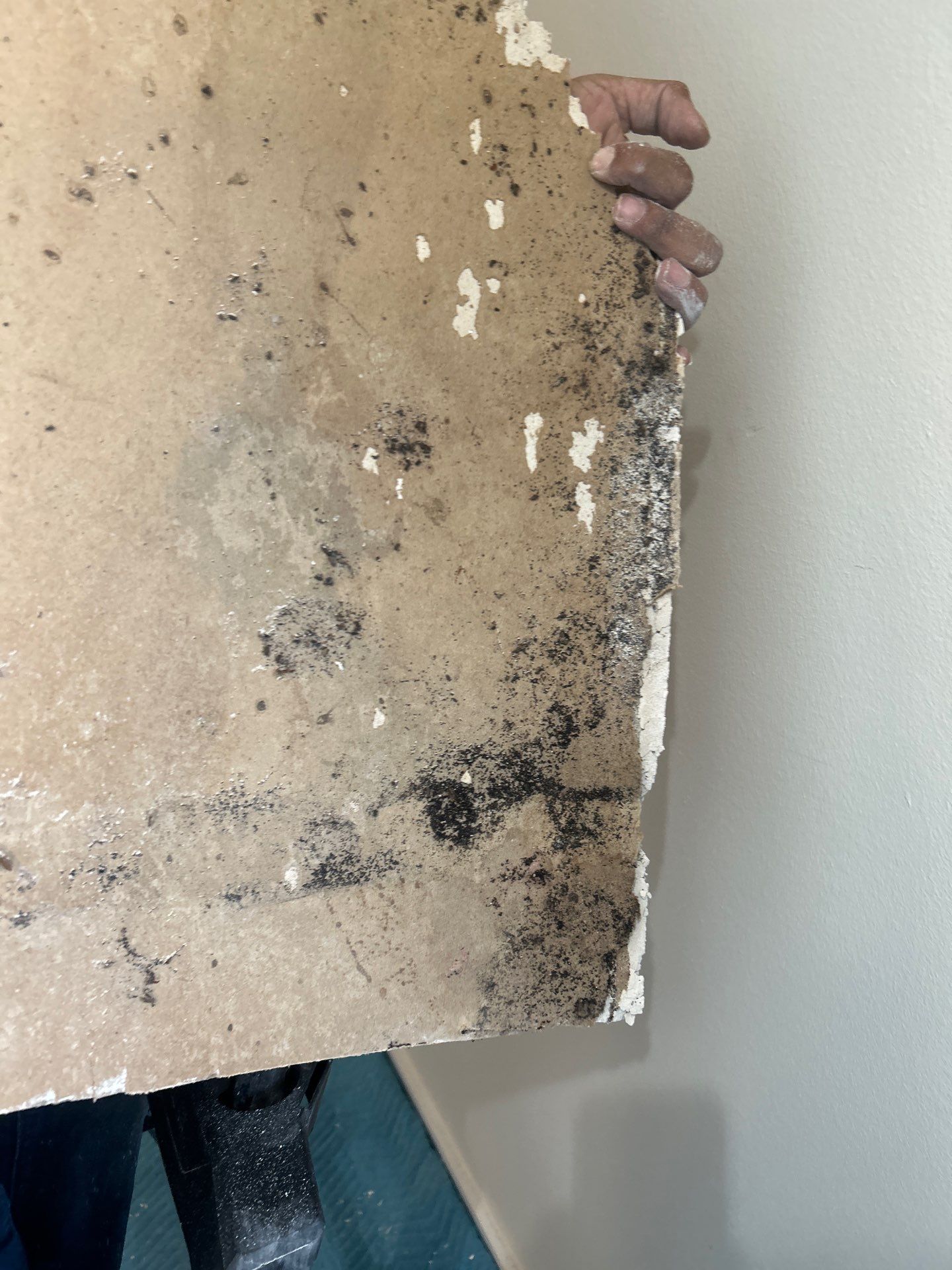 Commercial Water Damage Restoration In Bradenton by Ampm Restoration Services