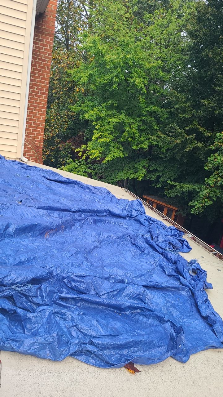 Dumfries: CertainTeed Landmark Pro Designer Shingles in Max Def Weathered Wood by RM Banning, Inc.