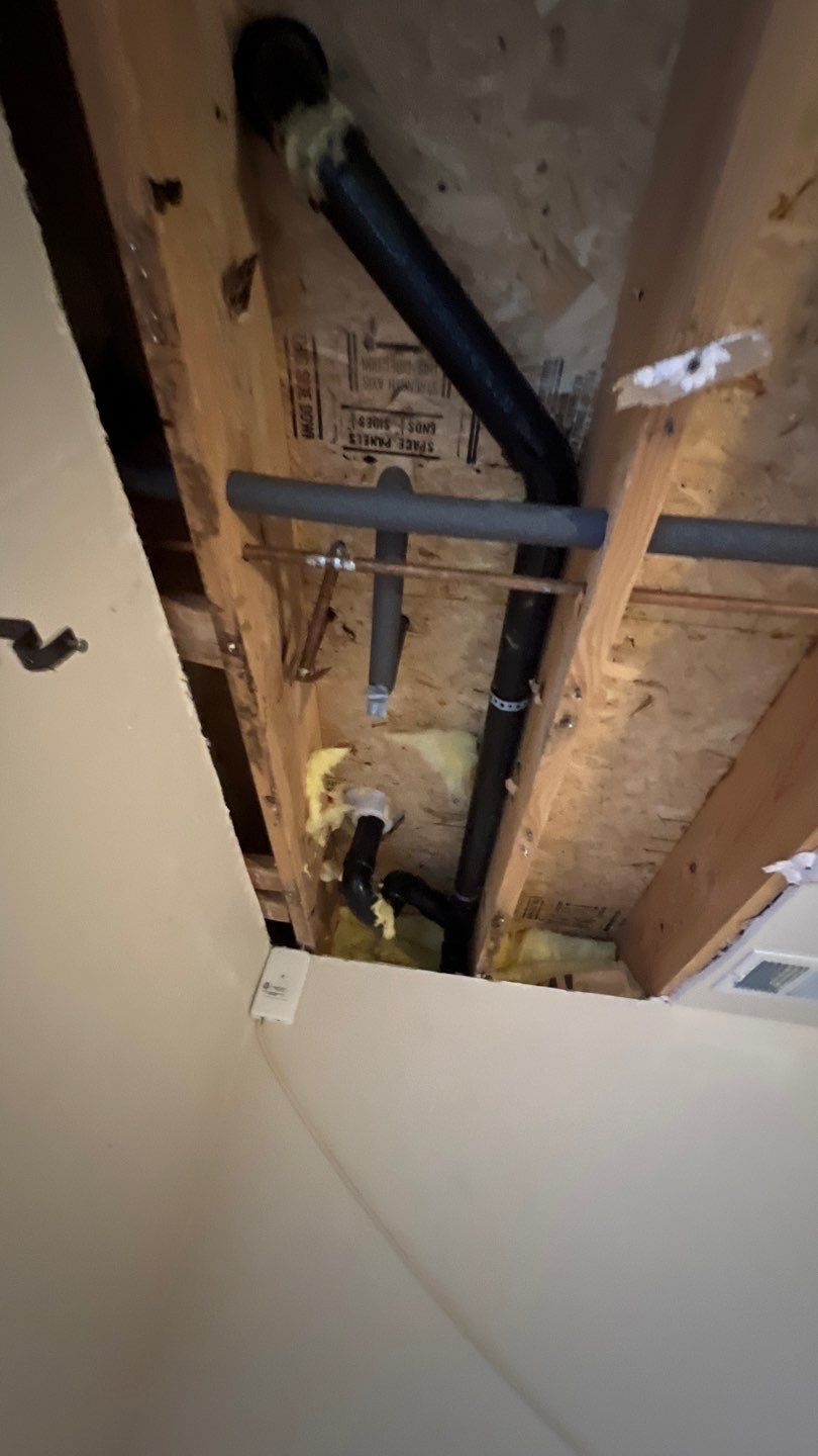 Water Damage and Mold Remediation by Accountable Home Services