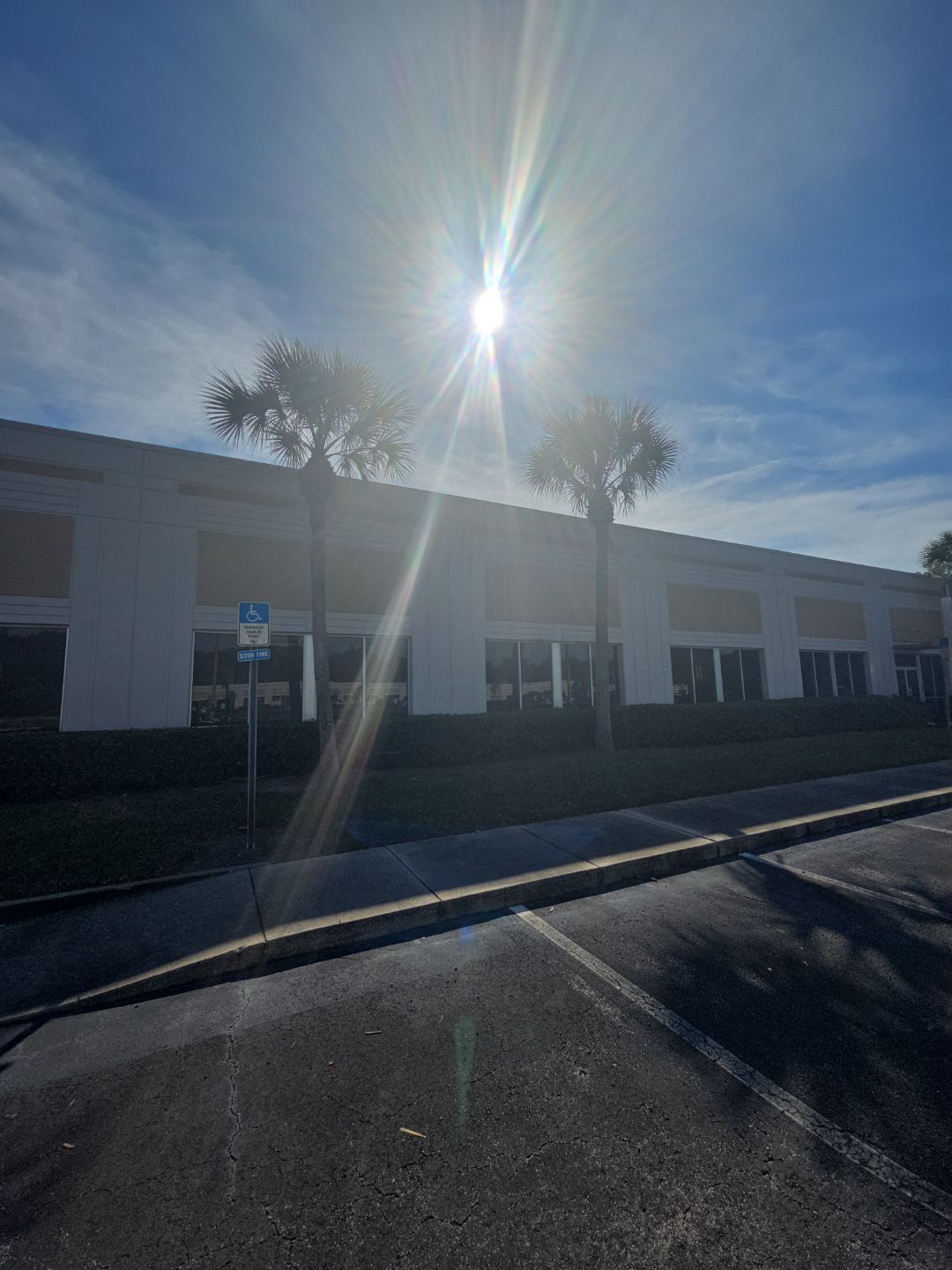 Tree & Palm Trimming | Commercial Property by ProGreen Services