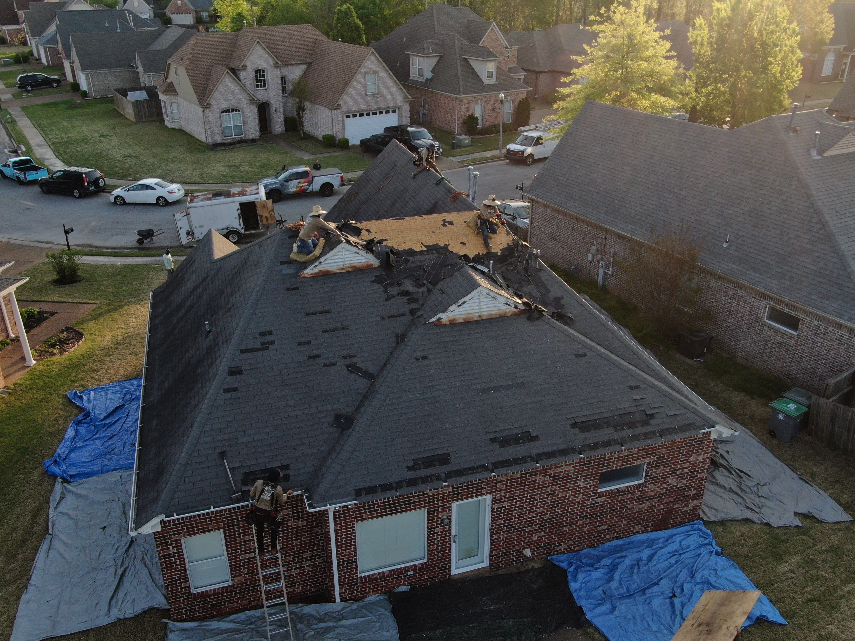 Wilson C. by Haven Roofing