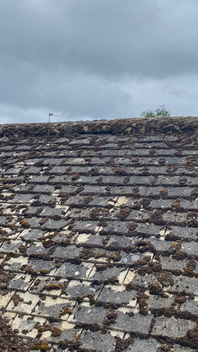 Roof Clean - Moss Removal using Honda 15lpm Low Pressure Washing Machine by Ges Exterior Cleaning ltd