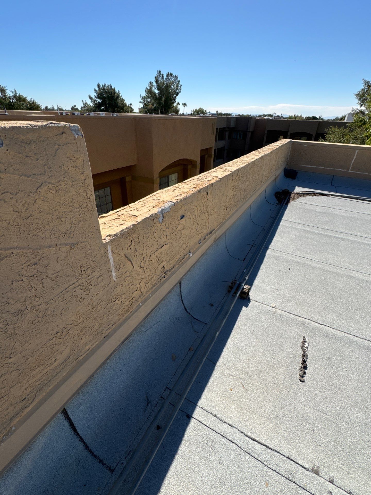 Project in Glendale by Crush Development Services LLC