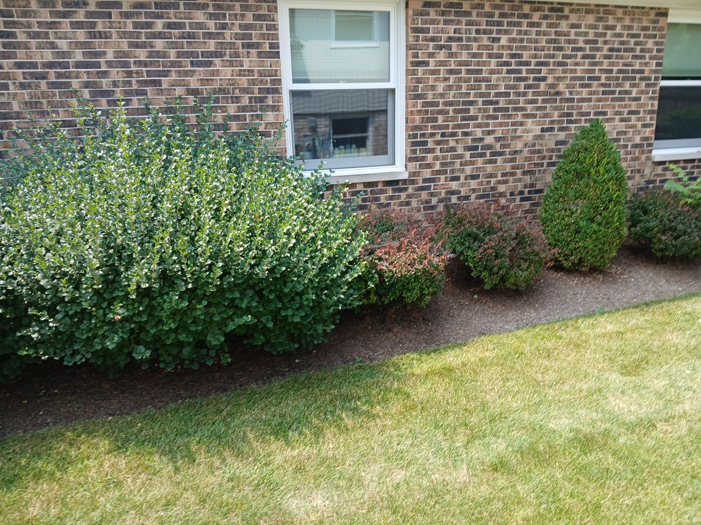 Ed E. - Wheeling, IL by A&N 