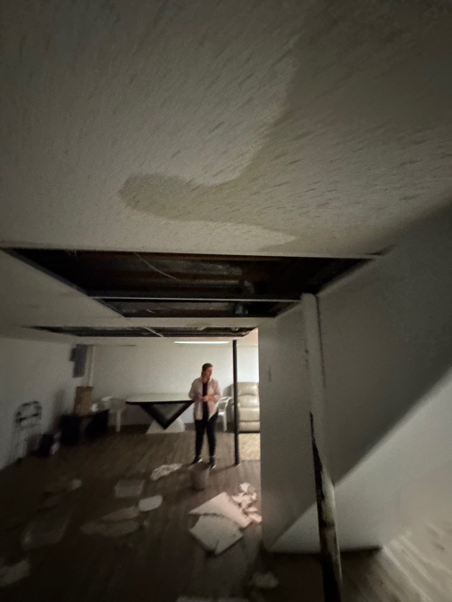 Project in Farmington Hills by EzDry Water Mitigation & Property Restoration