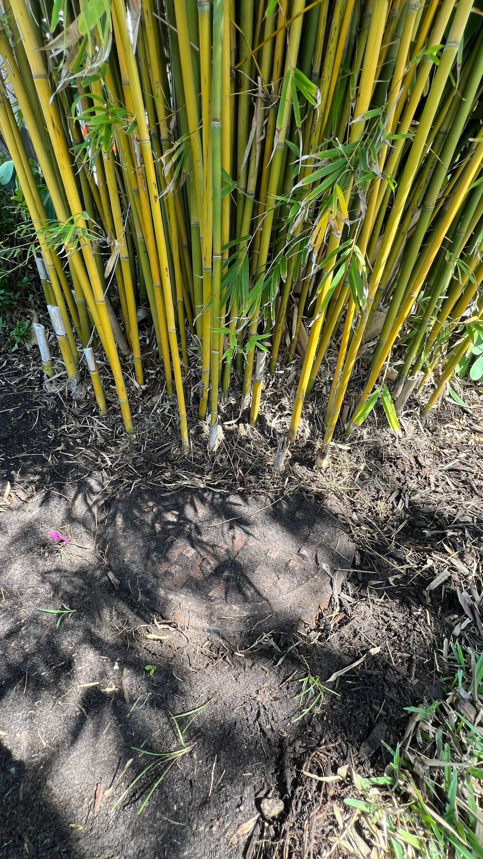 Community Storm System Maintenance and Camera Inspection by Don Mar, Inc. Storm Water Solutions