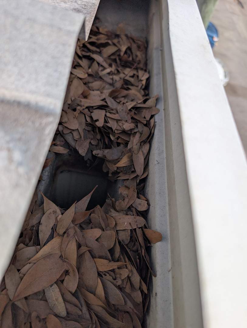 Retail roof & gutter cleaning before cleaning photo.