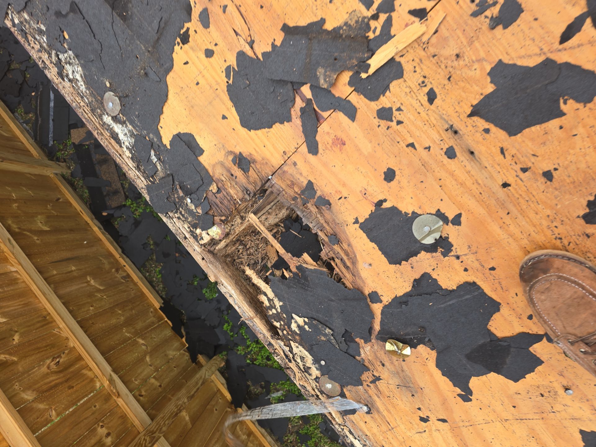 Roof Replacement Pasadena by Roof Repair Company