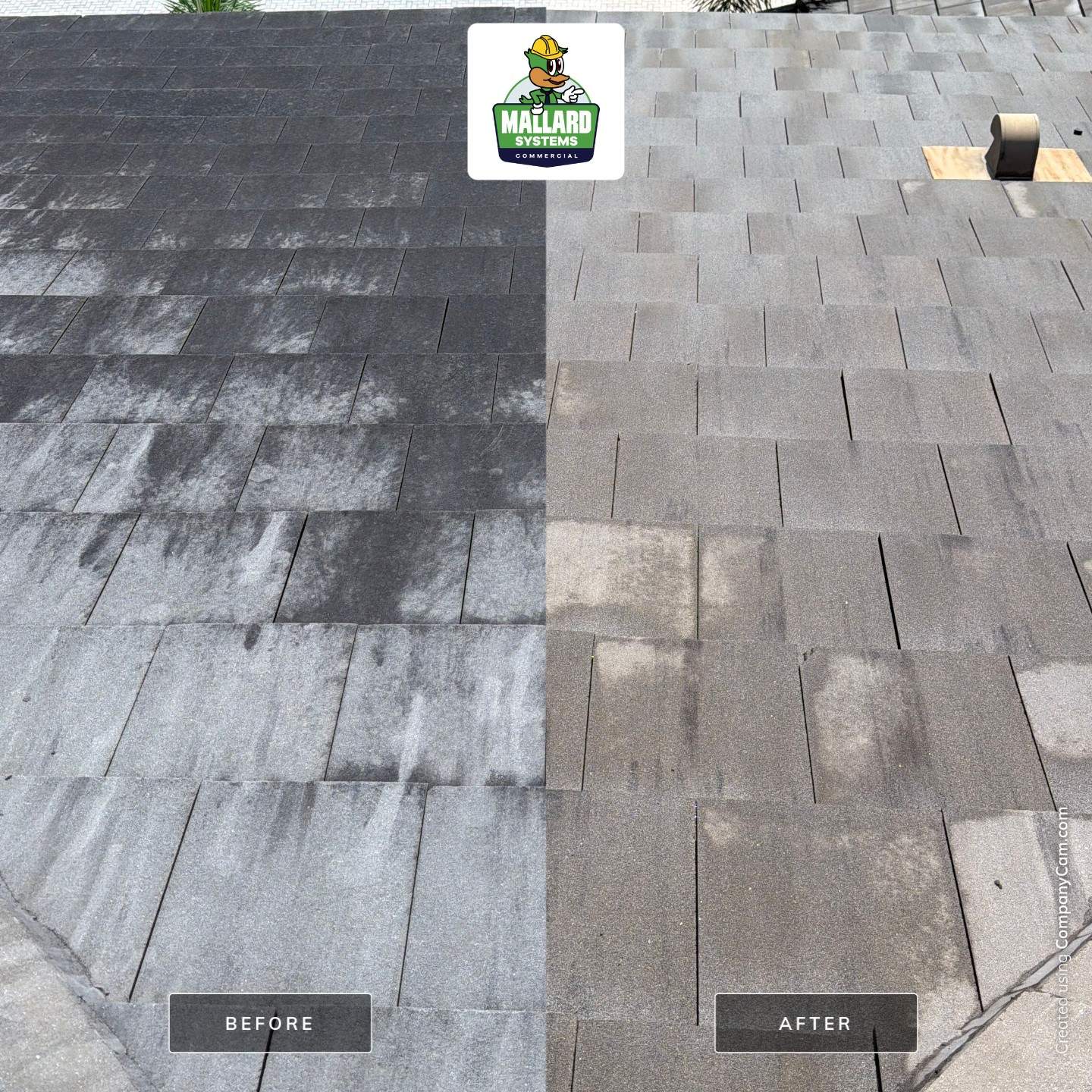 Residential Roof Cleaning in Winter Garden by Mallard Systems