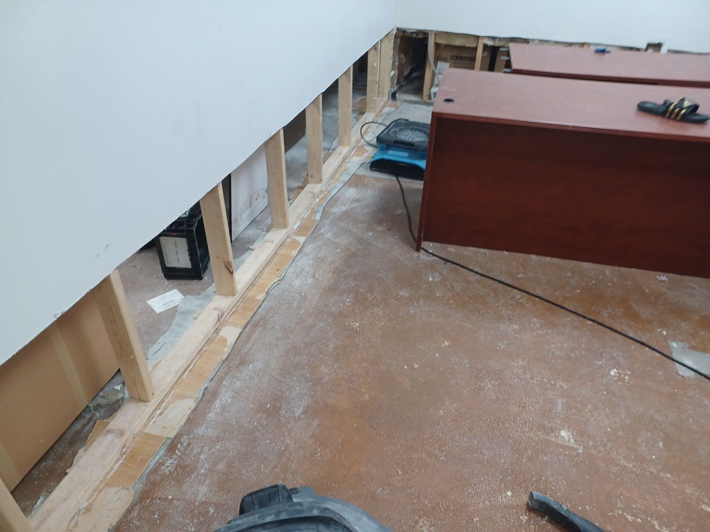 Project in Commerce Twp by EzDry Water Mitigation & Property Restoration